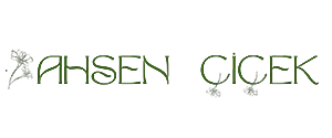 Ahsen Çiçek