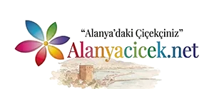Alanya Çiçek