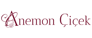 Anemon Çiçek