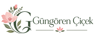 Güngören Çiçek