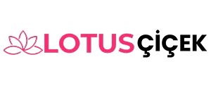 Lotus Çiçek