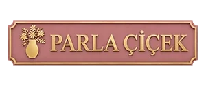 Parla Çiçek